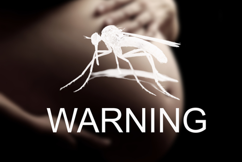 Two US Women Miscarry After Zika Infection, CDC Says | Farmington Consulting Group