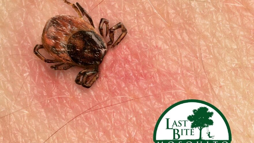 Tick Tick Boom –  Possible Vaccination for Lyme Disease | Farmington Consulting Group