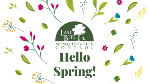 Spring Is Finally Here | Farmington Consulting Group
