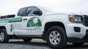 Mosquito and Tick Control